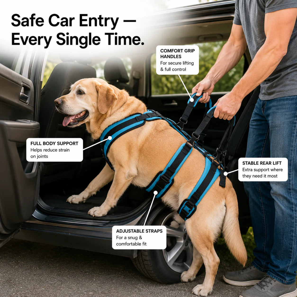 PawGuardian™ Mobility Harness