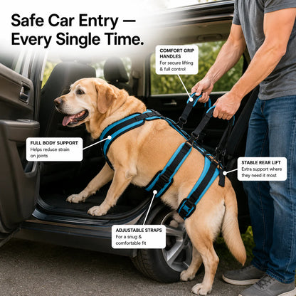 PawGuardian™ Mobility Harness