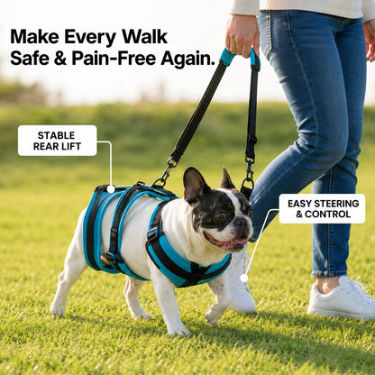 PawGuardian™ Mobility Harness