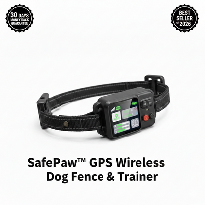 Never Lose Your Dog Again