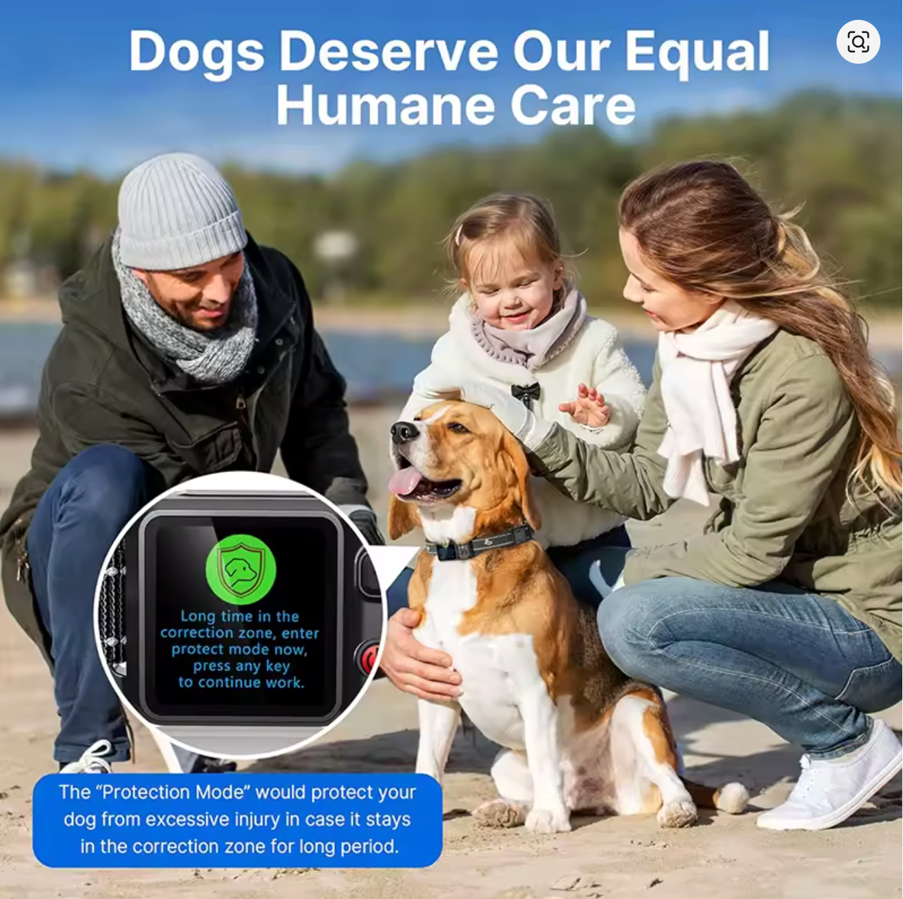 Never Lose Your Dog Again