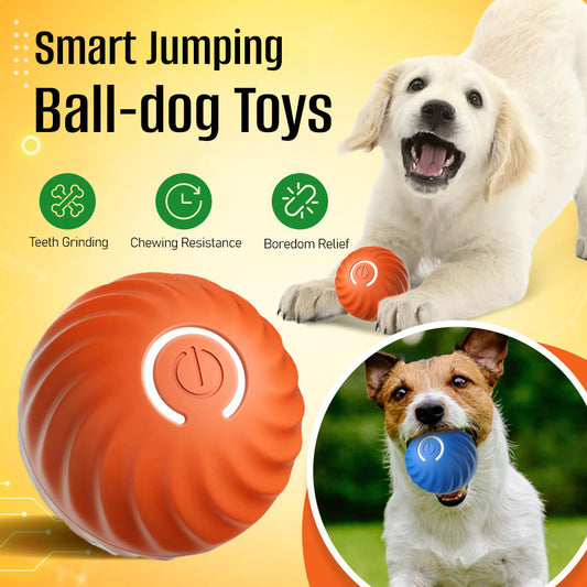 Buddy Smart Jumping Ball Play