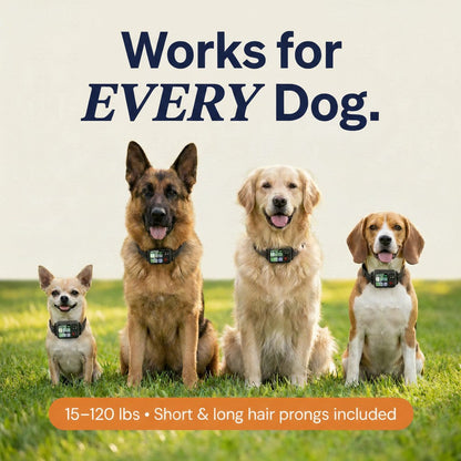 Never Lose Your Dog Again